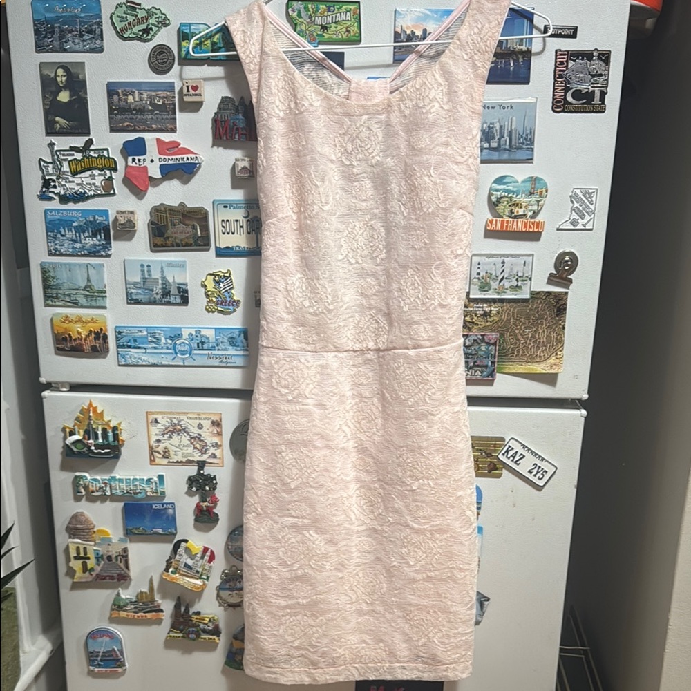 Sage Elegant Pink Lace Dress